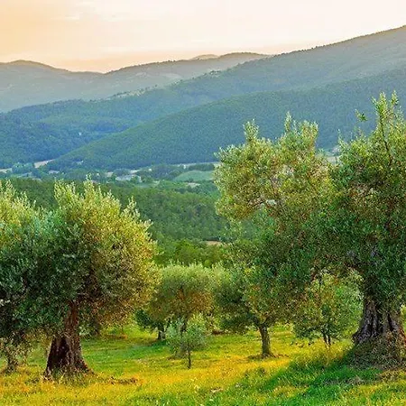Sleeps 4 Air Con Apartamento Umbertide
